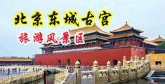 骚气美女露出大逼啊啊叫AV中国北京-东城古宫旅游风景区